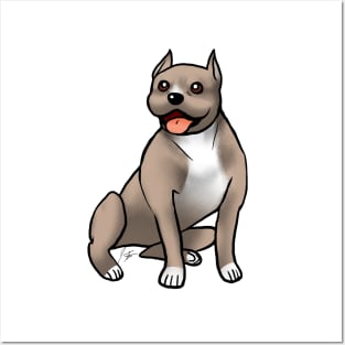 Dog - American Staffordshire Terrier - Brown Posters and Art